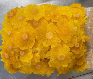 Fruta Exótica de Vietnam, Rodajas de Piña Seca Suave con Menos Azúcar, Deliciosa Fruta Deshidratada - Product Image 2