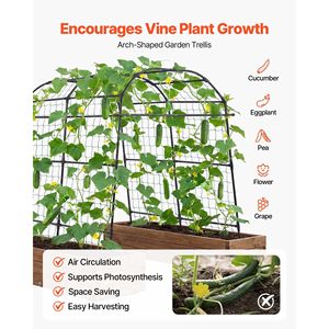 Traliccio a U per cetrioli, supporto metallico ad arco per piante rampicanti, tralicci per aiuole rialzate e cancelli da esterno - Product Image 4