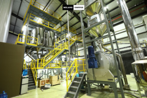 กาแฟดริปเวียดนามอาราบิก้าพรีเมียม คุณภาพสูง 60 กรัม กาแฟคั่วบด กาแฟมิลาโน - Product Image 4