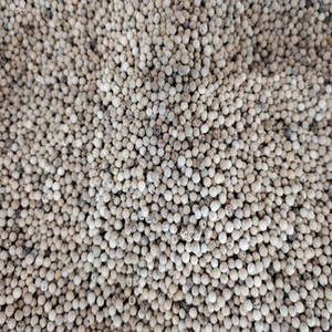 Nouvelle Saison Fraîche – Grains de Poivre Blanc Indien Naturel Entiers pour Acheteurs Internationaux Cherchant des Grains de Poivre Aromatiques et Pratiques - Product Image 6