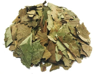 Hojas de Aguacate Secas al por Mayor, Exportador de Hojas de Aguacate Secas a Granel, Hojas de Aguacate Secas de Alta Calidad ANGLE - Product Image 5