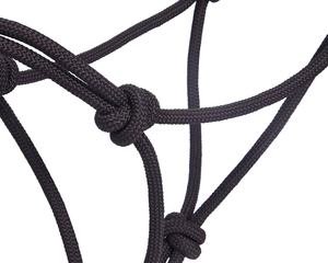 Wholesale Women Horse <b>Halter</b> Rope <b>Halter</b> Leather Printed Quick Dry Custom Packaging Unisex for Stable Training Use - Product Image 4
