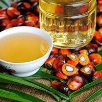 Groothandel Biologische Voedingsmiddelenkwaliteit Handgemaakte Geraffineerde Gefractioneerde Palmolie 100% Zuiverheid Fabriekslevering Frituur- en Kookolie Te Koop