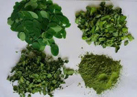 Teh Kesehatan Premium Daun Moringa Vietnam 100% Kering, Umur Simpan 24 Bulan, Kemasan Vakum 10kg
