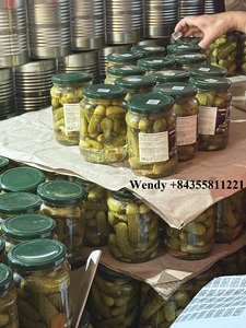 Pepinillos en Escabeche para Bebés - VIETNAM Alta Calidad Bajo Precio ECOVITA Pepinillos Cornichones Pepinillos en Escabeche para Bebés - Product Image 5