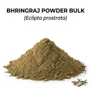 Polvo de Hoja de Bhringraj 100% Puro al por Mayor, Polvo Herbal Premium de Eclipta Prostrata para la Limpieza del Cuero Cabelludo y Nutrición del Cabello - Product Image 1