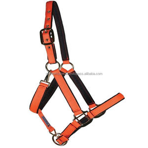 Meilleure vente licol de cheval en nylon de course de chevaux en plusieurs couleurs et tailles matériel réglable solide licou de cheval rembourré léger - Product Image 6