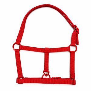 Harnais pour cheval en sangle de nylon rouge vif avec quincaillerie en fer et zinc |   Collier de tête équestre réglable avec boucles et anneau métalliques - Product Image 1