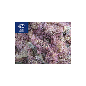 MUSGO DE MAR SECO ECOLOGICO, LIMPIO Y SEGURO, EL MEJOR PARA PREPARACIÓN DE POSTRES Y CUIDADO DE LA PIEL, PRECIO DIRECTO - Product Image 1
