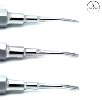 根管挺拔器 Apical Root Elevators (301) 3.5mm 空心手柄不锈钢牙科根管挺拔器低价出售 根管挺拔器