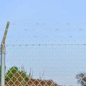 Fil barbelé en acier galvanisé à chaud, 328,08 pieds, couleur argent - Product Image 1