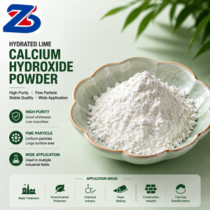 Hydroxyde de calcium industriel en poudre, chaux hydratée de qualité standard pour l'ajustement du pH, le traitement de l'eau et l'exploitation minière - Product Image 1