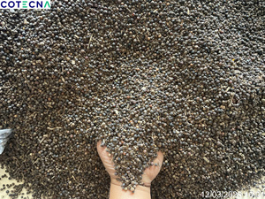 พริกไทยดำเวียดนาม ทำความสะอาดแล้ว |   500-600กลัลลิตร |   รูปทรงกลม, เมล็ดพืชดิบ |   ขนาด 1 มม.-3 มม. (จอยซ์) - Product Image 3