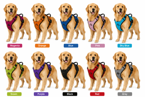 Harnais Réfléchissant pour Chien de Taille Moyenne, Gilet en Nylon Imperméable et Respirant Anti-Traction avec Fermeture à Boucle - Product Image 2