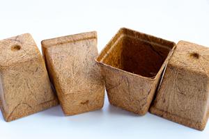 Premium Coir Fiber <b>Seed</b> Starter Pot – All-Natural Nutrient-Rich Root Trainer for Plant <b>Propagation</b> - Product Image 1