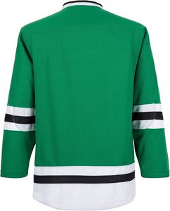 Maillot d'entraînement de hockey EALER Série H900 – Uniforme d'équipe vierge personnalisable - Product Image 2