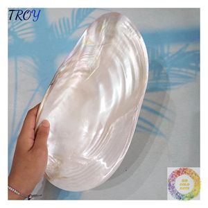 Plateau décoratif en coquillages irisés, accent de table inspiré de l'océan pour les intérieurs côtiers et le style de la maison de plage, idéal pour un cadeau - Product Image 6