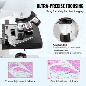 Microscopio Composto da Laboratorio Binoculare con Ingrandimento 40X-2500X, Illuminazione LED, Meccanismo a Due Strati, Obiettivo 100x e Oculare 10x - Product Image 3