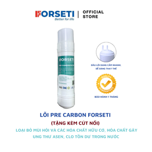 Cartouche de filtre à charbon actif à prix abordable pour osmose inverse 1,0 micron, boîte ondulée, filtre à eau domestique - Product Image 2