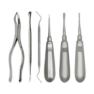 Juego de Instrumentos Dentales Veterinarios de Acero Inoxidable para Cirugía de Mascotas, Instrumentos Dentales Manuales para Extracción de Dientes de Perro - Product Image 1