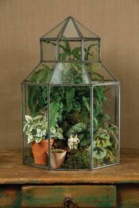 Terrario de Metal y Vidrio Personalizado, Moderno Macetero de Vidrio para Plantas de Interior, Suculentas, Plantas Aéreas y Decoración del Hogar DIY - Product Image 5