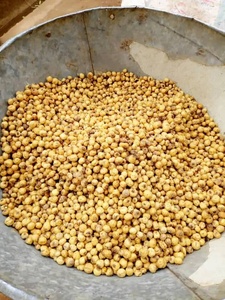 เมล็ดฟักทองเกรดพรีเมียม คุณภาพสูง สดใหม่ อบแห้ง ปลอดจีเอ็มโอ ทอดกรอบ รสเปรี้ยว พร้อมขายส่ง - Product Image 6