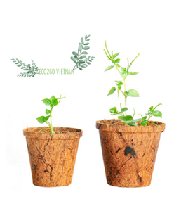 Maceta de Fibra de Coco de Tamaño Personalizado de Eco2go Vietnam - Macetas Biodegradables Ecológicas para Agricultura en Invernadero y Entrenamiento de Raíces - Product Image 3