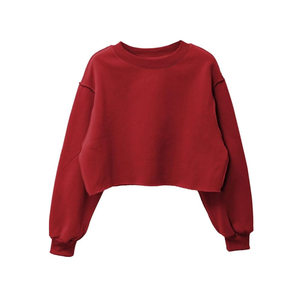 เสื้อฮู้ดดี้ผู้หญิงสั่งทำขายส่ง ผ้าฝ้ายเวลัวร์ 100% ระบายอากาศได้ดี สไตล์สตรีทแวร์ สำหรับฤดูหนาว - Product Image 3