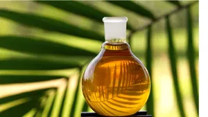 Huile de Palme de Cuisine Cradle of Life - Durée de Conservation de 12 Mois Prête à l'emploi À Stocker dans un Endroit Frais et Sec, Éloigner de la Lumière du Soleil et de l'Humidité - Product Image 2