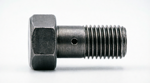 Connecteur banjo à vis M8 pour camion TATA 5.9L 6BT ISBe Diesel, référence 278607999930 1618 LPT LPK Signa, pièces de rechange - Product Image 1