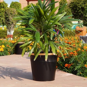 Jardinière en métal cannelé élégante et décorative pour plantes d'intérieur et d'extérieur, idéale pour la maison, le balcon, le salon, le bureau - Product Image 2