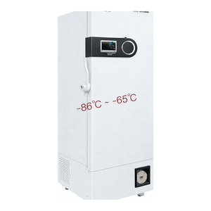 Congelador ULT Daihan Science SciLab de -86 °C a -65 °C con Monitoreo WiFi, Interior de Acero Inoxidable, Almacenamiento Vertical de Vacunas - Product Image 2
