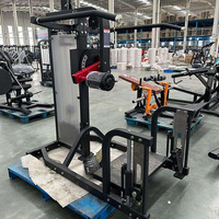 Equipo de Gimnasio Comercial para Entrenamiento de Fuerza y Culturismo: Máquina de Extensión de Espalda con Selector de Peso y Carga de Placas