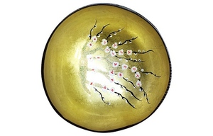 MEILLEUR VENDEUR VIETNAM BOL EN NOIX DE COCO VAISSELLE/JUMBO COQUILLE DE NOIX DE COCO BOL ENSEMBLE AVEC CUILLÈRE FONCÉE/ECO FRIENDLY BOL EN NOIX DE COCO RÉUTILISABLE BOÎTE - Product Image 5