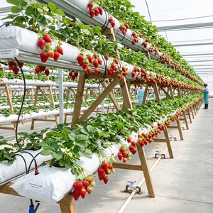 Sacs de culture en plastique durables en gros - Écologiques et biodégradables pour l'hydroponie, le jardinage, la plantation et la culture de légumes à domicile - Product Image 1