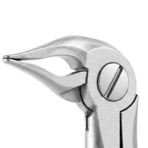 Forceps d'extraction dentaire manuels en acier inoxydable de qualité supérieure pour dents supérieures et inférieures, autoclavables ISO pour cliniques dentaires - Product Image 4