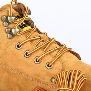 Cordones a rayas de moda para zapatillas de deporte, zapatos informales y calzado de moda-Suministro a granel disponible - Product Image 1