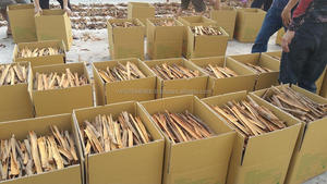 Especias de Cassia divididas secas de alta calidad de procesamiento crudo de Vietnam por Vilaconic Factory Hot Flavor-Ms. Sam WS + 84 971827680 - Product Image 3