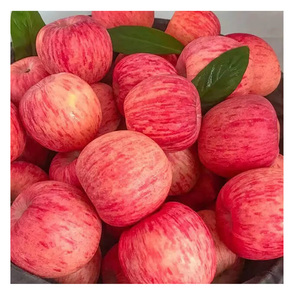 Pommes rouges Fuji de qualité supérieure, cultivées naturellement et disponibles pour la vente en gros et les marchés d'exportation mondiaux - Product Image 1