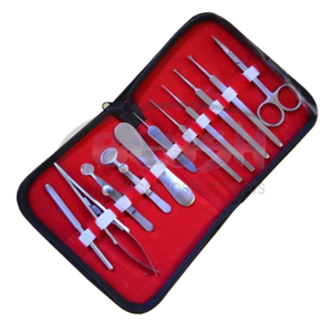 Juego de Instrumentos Quirúrgicos Ortopédicos Profesionales de Acero Inoxidable de 11 Piezas, Certificado CE, Micro Herramientas con Estuche de Blush Surgical - Product Image 2