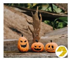 Juguetes Educativos de Animales del Bosque de Madera, Precio de Fábrica, Figuras de Animales de Madera al por Mayor, Aprendizaje Preescolar - Product Image 4