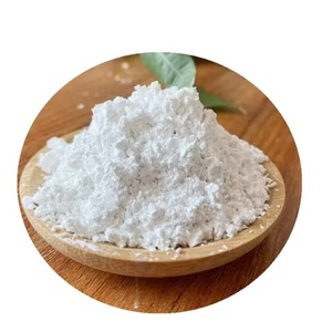 Poudre de Lactobacillus en gros : Ingrédient de culture microbienne à haute stabilité pour applications alimentaires et animales, disponible à la vente - Product Image 3