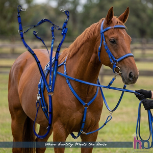 Ensemble complet de harnais pour cheval HM Global Premium PVC bleu, imperméable, pour course et endurance - Product Image 1