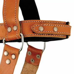 Arnés de Cuello de Cuero con Cadena, Equipo de Protección Ajustable para Boxeo, Adultos, Unisex, Estilo Estándar - Product Image 6