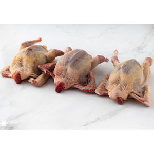 ราคาไม่แพง คุณภาพสูง เนื้อนกพิราบแช่แข็งพร้อมส่งออก สำหรับขายส่ง - Product Image 3