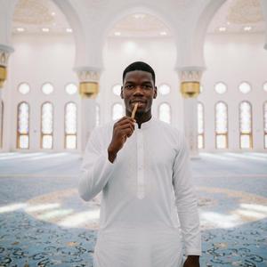 Bâtonnets de Miswak Peelu frais avec boîtes personnalisées / Miswaks Siwak épais de qualité supérieure / Packs de Miswaks pakistanais biologiques à prix de gros - Product Image 1