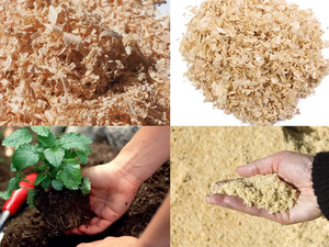 Sustrato Orgánico de Aserrín de Madera Natural de Alta Absorción y Retención de Humedad para Plantas, Viveros y Agricultura - Product Image 3