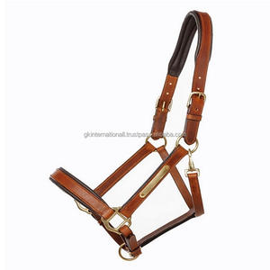 Licol de course de chevaux rembourré en cuir de selle anglais noir ou marron havane avec plaque nominative en laiton entièrement réglable - Product Image 2