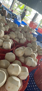 Coco joven y fresco de Vietnam corte de diamante estilo dulce sabor natural exportación al por mayor - Product Image 4