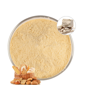 Poudre d'extrait de levure la plus vendue, qualité supérieure, 100 % pure et naturelle, en gros, provenant d'Inde - Product Image 2